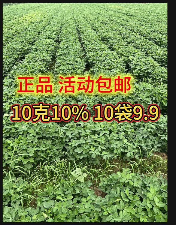 【活动中】调环。十袋九块九。微控 页面喷施高产肥