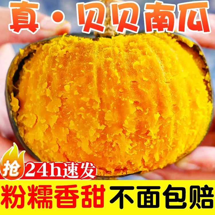新鲜采摘山西贝贝南瓜粉糯香甜正宗板栗味宝宝辅食