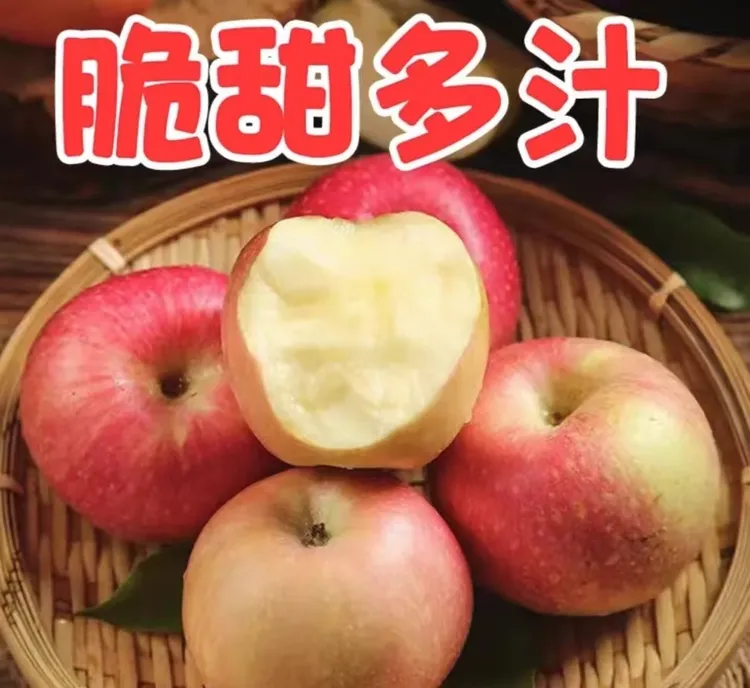 山东沂蒙山红苹果脆甜多汁新鲜采摘果园直发净重5斤—8甜2酸