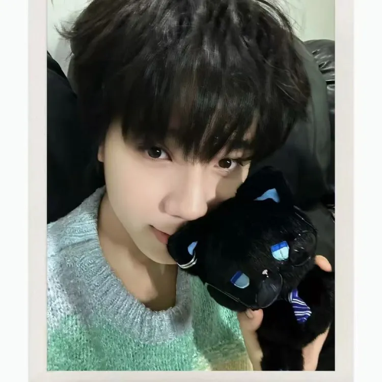 王橹杰同款小猫可爱呆呆公仔高颜值毛绒玩具卡通坐姿玩偶娃娃emo