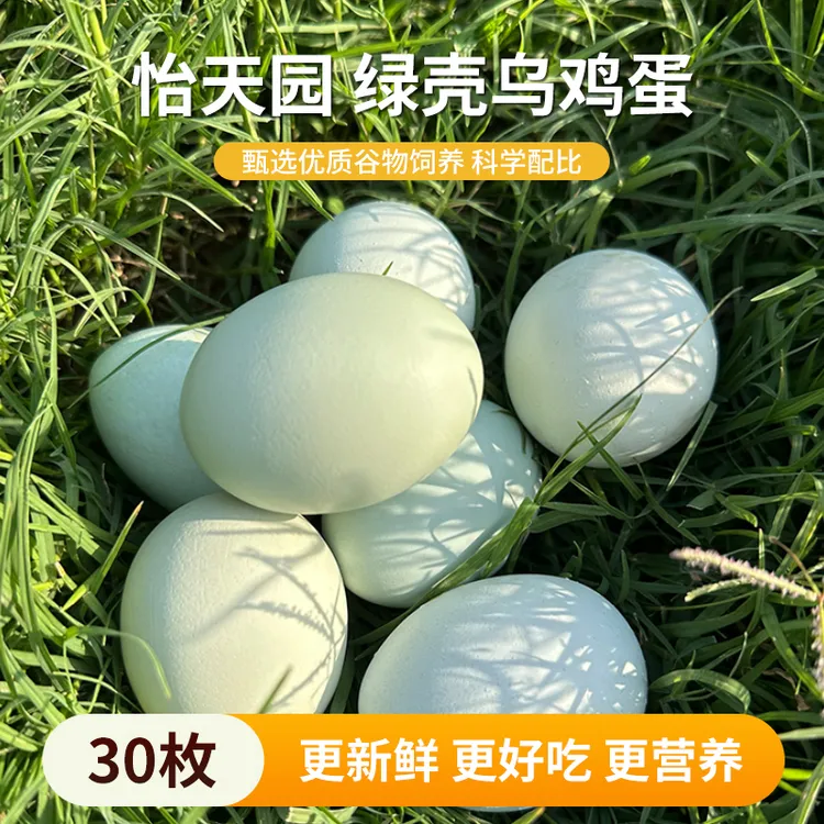 怡天园绿壳乌鸡蛋30枚当天捡蛋当天发货科学喂养新鲜美味