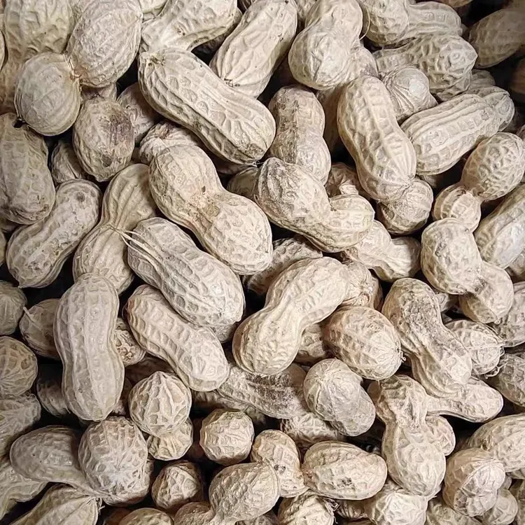 四川资中三块石小罗汉花生散装包装