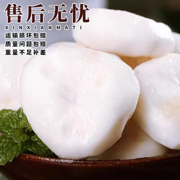 特大荔浦马蹄荸荠广西特产新鲜现挖当季水果蔬菜包邮脆甜无渣