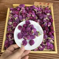 大理头采紫巧梅 花中紫宝石 冬青严选