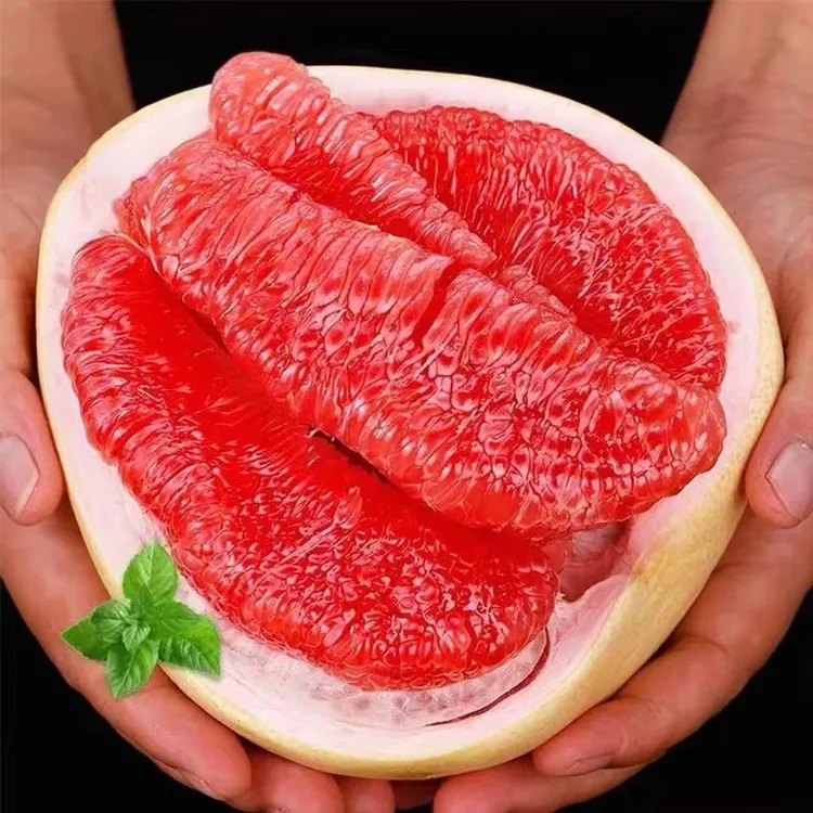 【三红蜜柚】正宗福建漳州平和红心蜜柚现摘蜜柚原产地