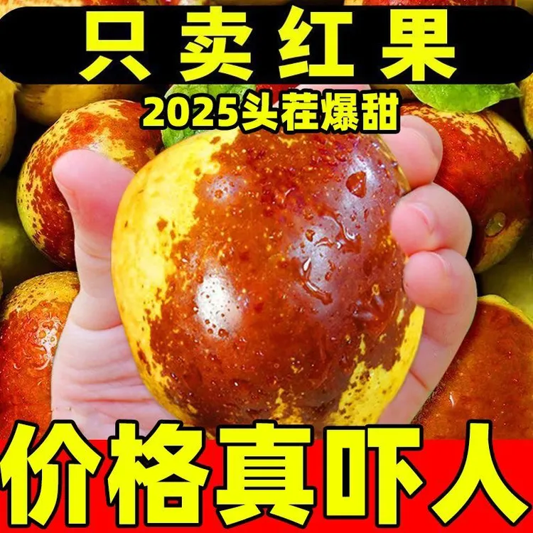 正宗沾化冬枣 自家种植 5斤装 山东特产冬枣现货甜脆多汁新鲜水果