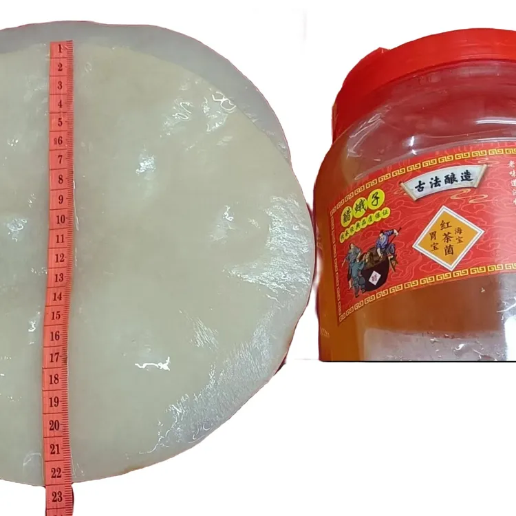 红茶菌醋娥子.2片菌膜带老液一共5斤.自己回去发酵好了酸甜饮料