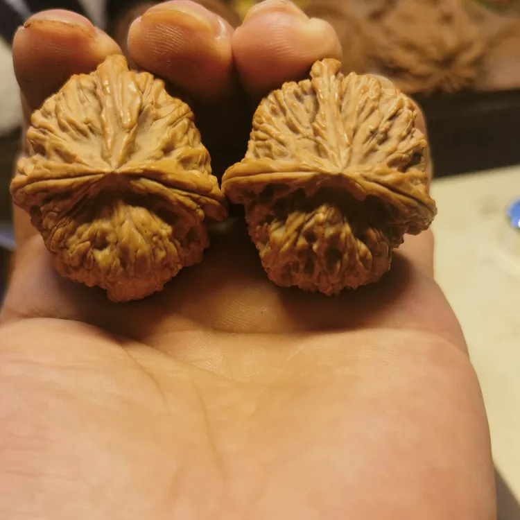 白狮子三棱手捻，文玩核桃