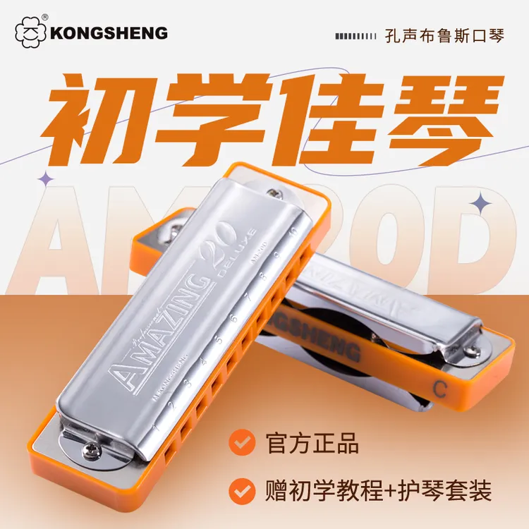 【新手入门】孔声十孔布鲁斯口琴成人专业演奏初学者蓝调可改paddy