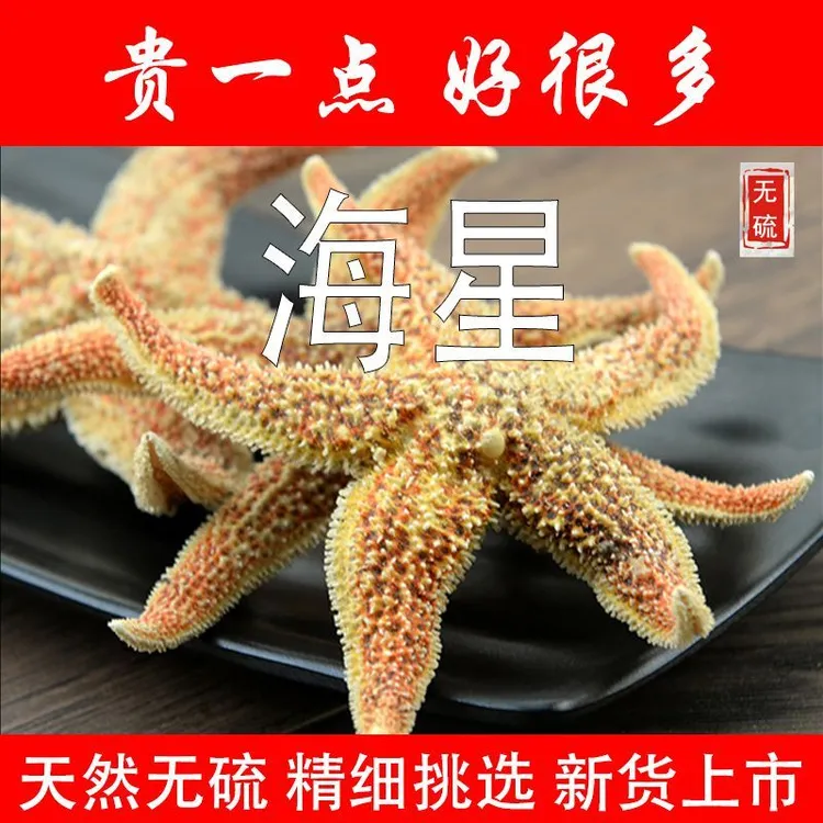 精选海星干泡酒海星海五星海星滋补煲汤泡酒料新鲜纯天然