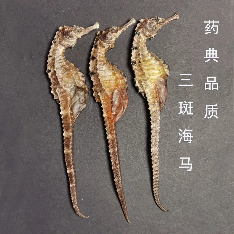 海海马南正品保真公母搭配足干海马干货适合煲汤泡酒做汤料