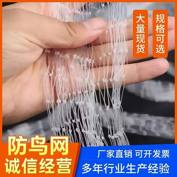 防鸟网果树果园大棚尼龙线防鸟网阳台樱桃树葡萄窗户鱼塘用的天网