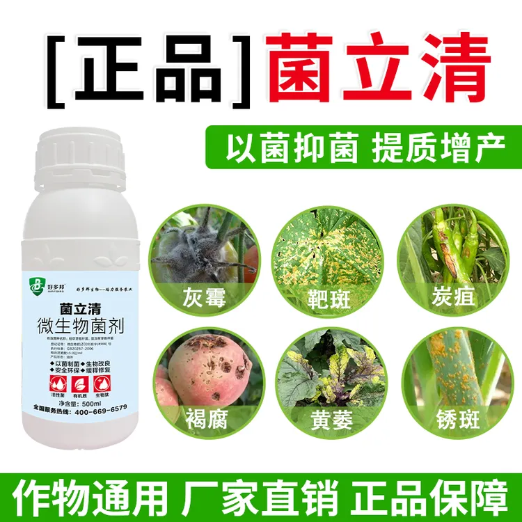 菌立清炭疽锈斑根腐白粉霜霉灰霉软腐青枯叶斑褐斑正品微生物菌剂