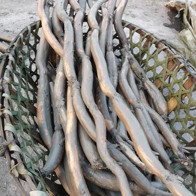 【罗坊湖藕】煲汤：一口粉糯，甜透心间 顺丰包邮