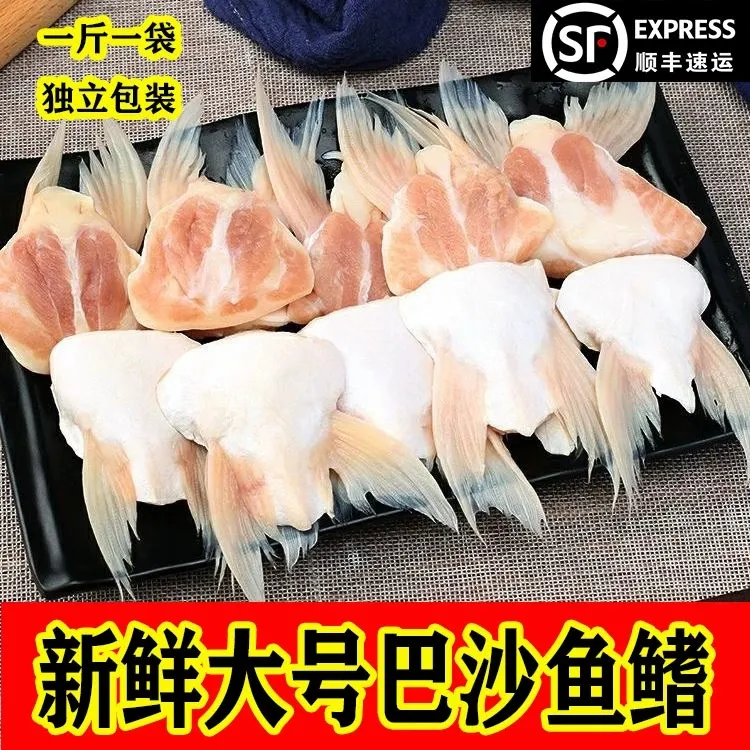 新鲜巴沙鱼鳍鮰鱼翅鱼肥油龙利鱼鱼翅鱼鱼嘴鱼腩巴沙鱼腩批发冷冻