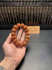 新品金刚菩提（2号）