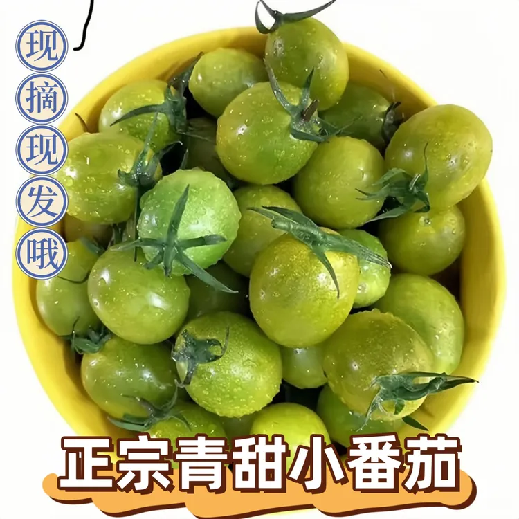 青甜2号巨甜青田二号现摘新鲜蜜茄绿色小番茄西红柿青霞圣女果