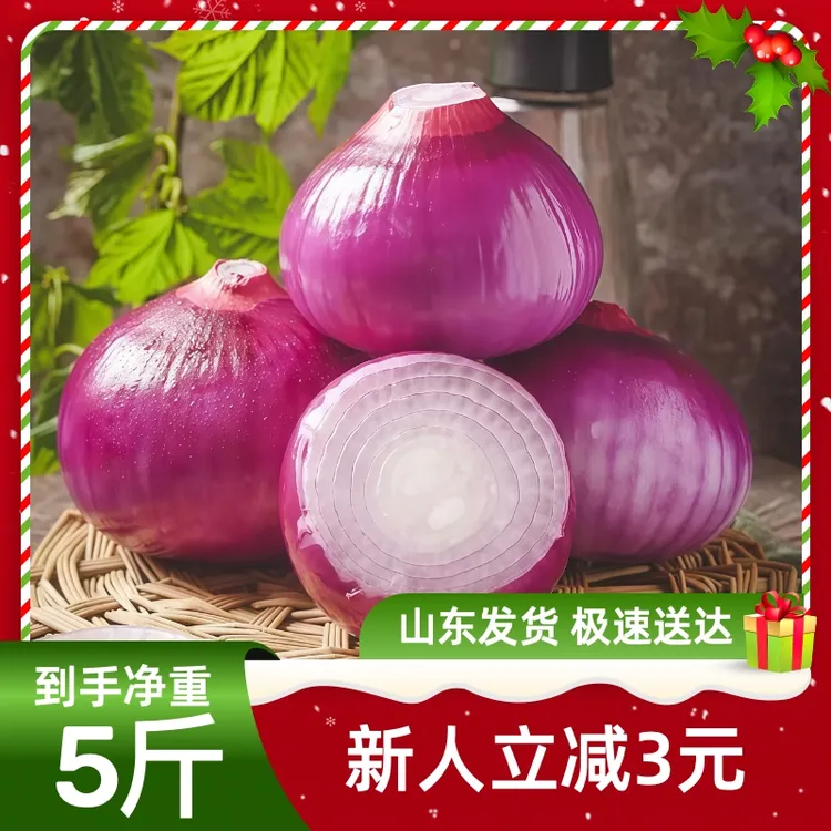 正宗扁洋葱紫皮水果洋葱新鲜生吃脆甜微辣山东直发圆葱头新鲜蔬菜
