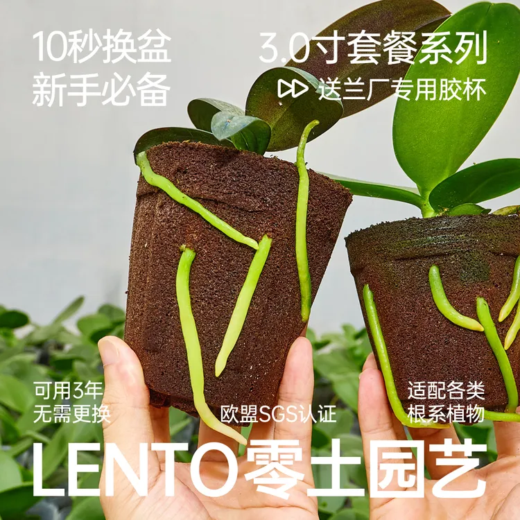 零土3.0寸育苗杯套餐兰花护理种植植物绿植营养土植料炭棉碳棉