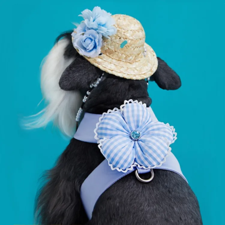 MMCHOKK花花套装系列宠物胸背