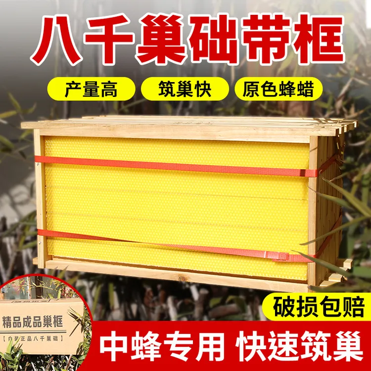 八千成品巢框带础巢巢脾中蜂专用巢框意蜂蜜脾框架蜂场养殖物资