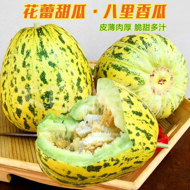 东北八里香甜瓜香瓜特产时令水果整箱包邮新鲜水果类应季5斤顺丰
