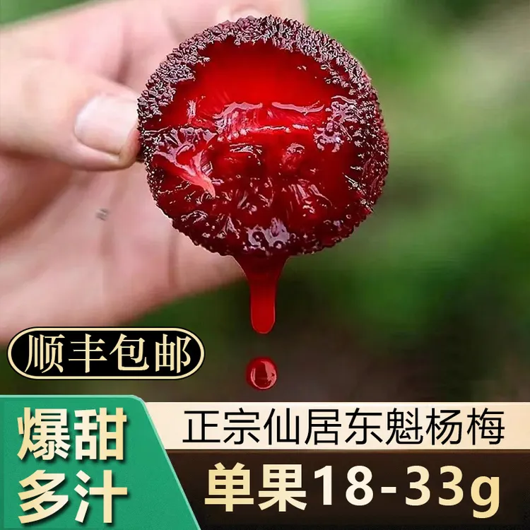 [顺丰冷链包邮]仙居东魁杨梅大果18g-33g现货现发精品分颗礼盒装
