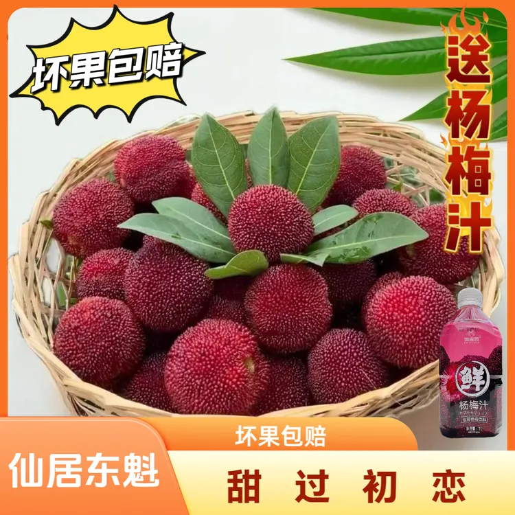 【8A东魁杨梅】仙居杨梅颗粒包装顺丰包邮孕妇开胃新鲜采摘