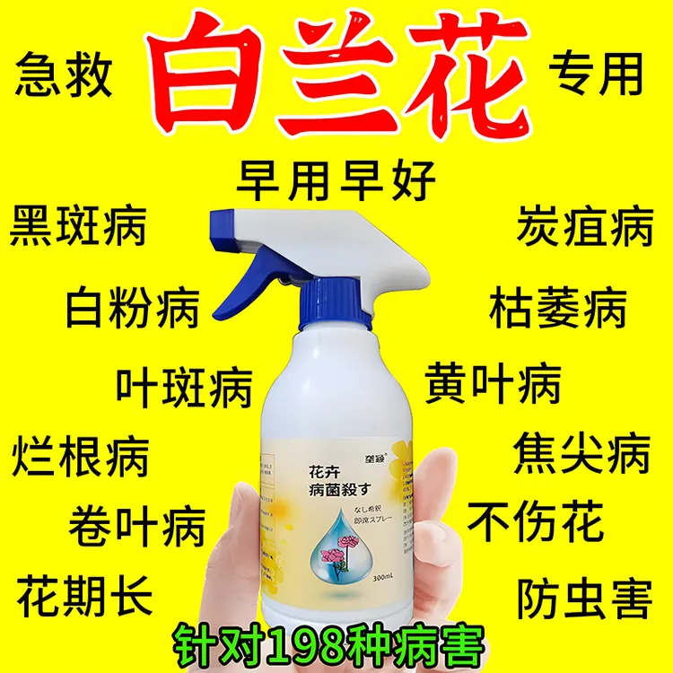 白兰花专用除菌剂肥料黑斑锈斑褐斑枯叶白粉黄叶病多菌灵营养液