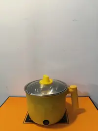 SX123家用电煮锅SX