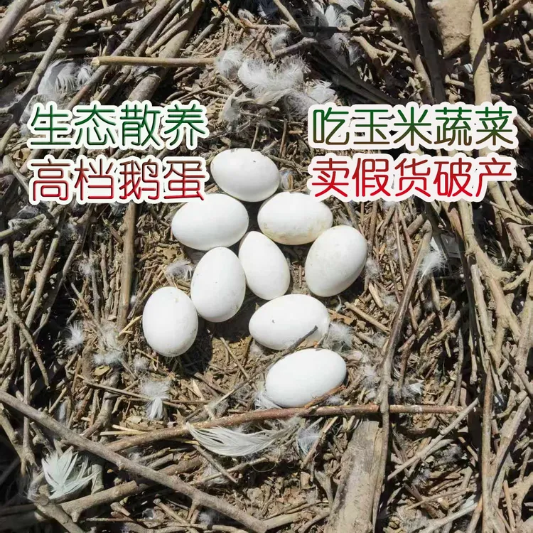 新鲜散养土鹅蛋农家散养12枚单个150克以上（12枚净重1800克）