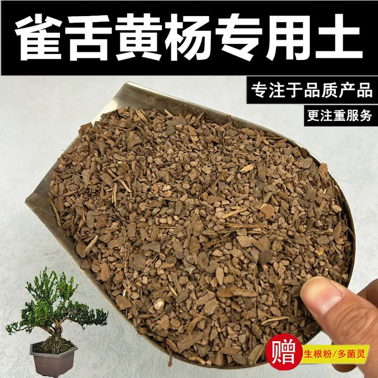 雀舌黄杨专用土营养土赤玉土盆栽风化土种植土酸性土沙质土颗粒土