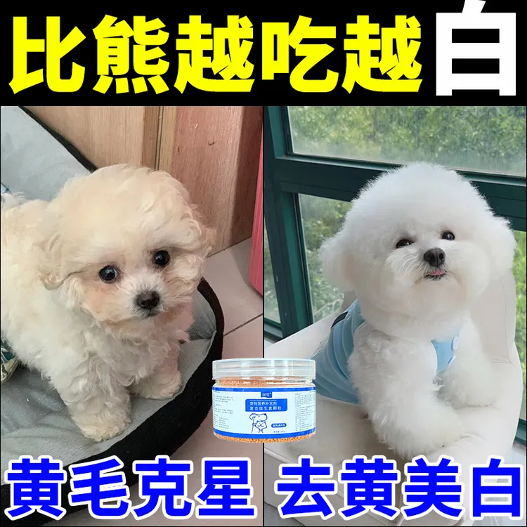 【由内而外】比熊发黄营养维生素美白爆毛狗狗毛发快速增亮变白