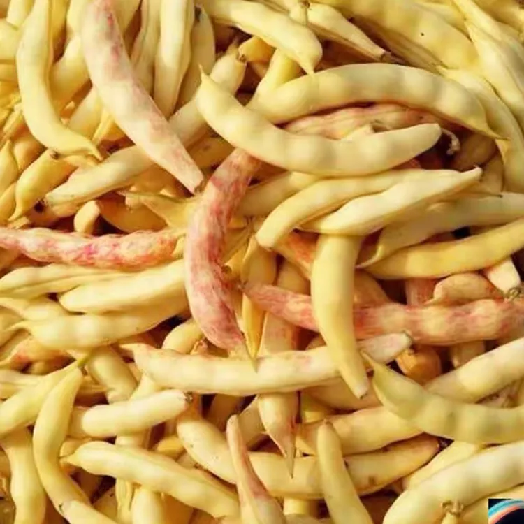 东北黄豆角(顺丰包邮)
