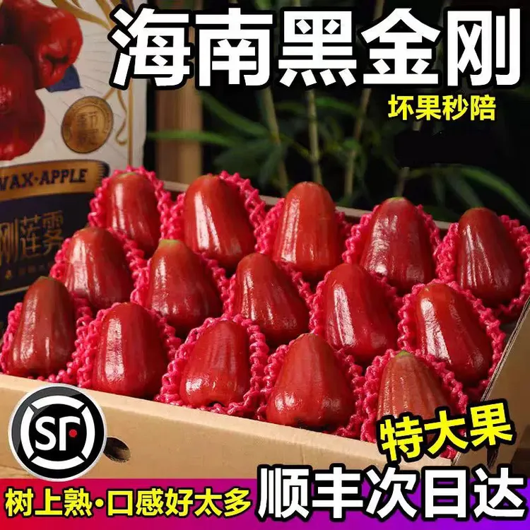 海南三亚黑金刚莲雾精品大果脆甜多汁孕妇水果2025新鲜水果整箱发