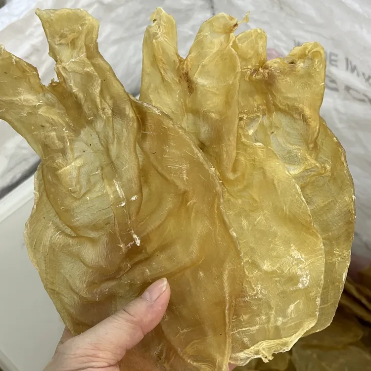 钟姐鱼胶16蜘蛛胶片