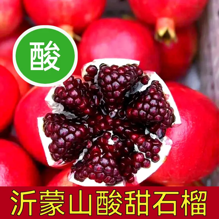 沂蒙山软籽酸石榴新鲜当季大黑珍珠孕妇开胃半口酸甜可泡酒可榨汁