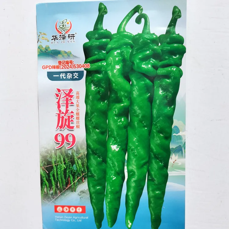 高端大果螺丝椒种子连续结果力强光泽好耐储运