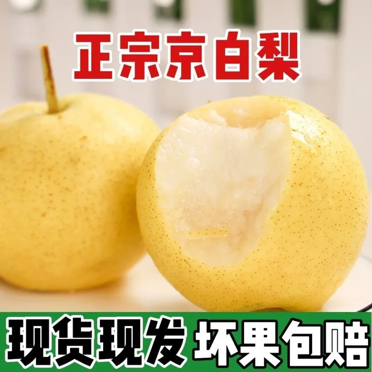 京白梨水果新鲜特产梨子现摘软棉多汁京白梨非雪梨秋月梨酥梨