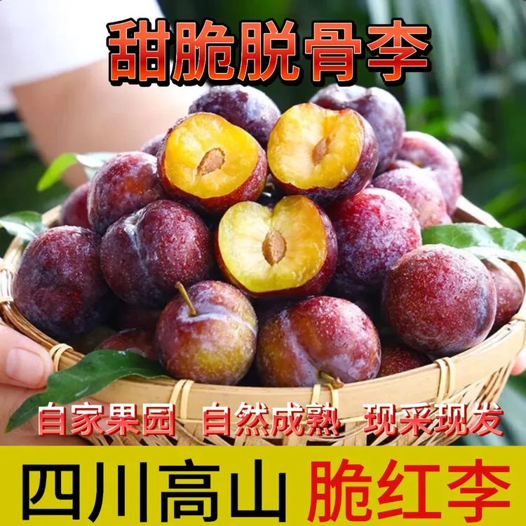 四川高山脱骨李子新鲜现摘脆甜多汁当季水果脆红李脱骨李半边