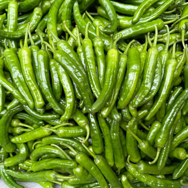 本地辣椒 3斤 5斤 包邮