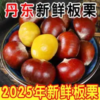 [送栗爪]新鲜现摘高山板栗生吃脆甜熟吃粉糯口感好