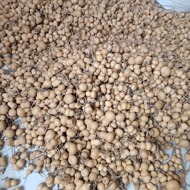 天然手把小葫芦通货，不保龙头【默认微瑕介意勿拍】随机一箱25个