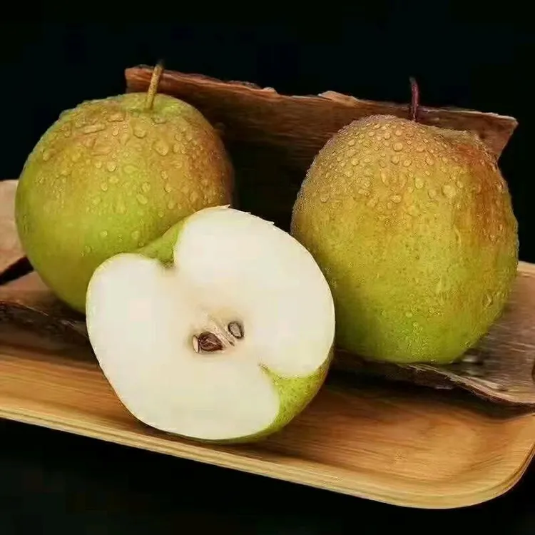 秋丽臻果陕西冰糖心翡翠梨当季孕妇新鲜水果玉露香梨酥脆批发礼盒