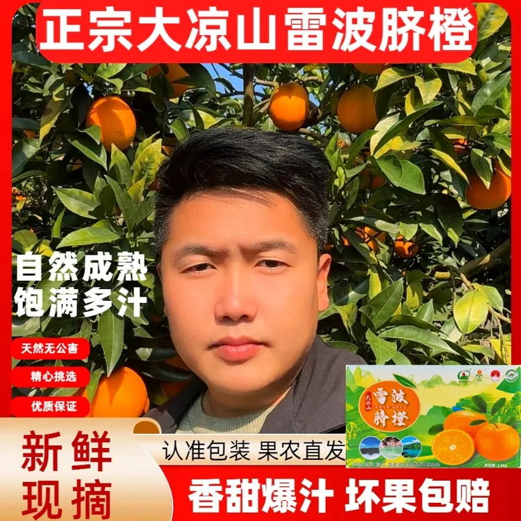 大凉山（正宗雷波脐橙特产）当季成熟新鲜采摘香甜多汁独特蜂蜜味