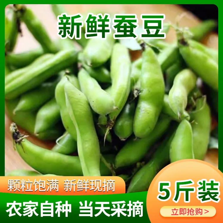 长寿之乡新鲜蚕豆带壳蚕豆农家自种带壳青蚕豆顺丰发货
