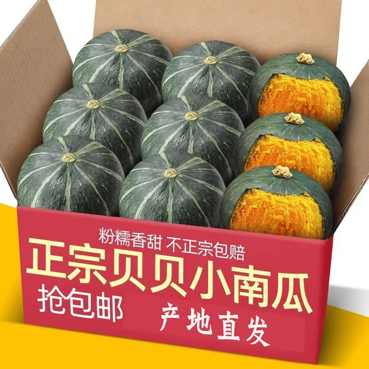新鲜正宗板栗味真贝贝南瓜粉糯香甜可作宝宝辅食新鲜水果蔬菜批发
