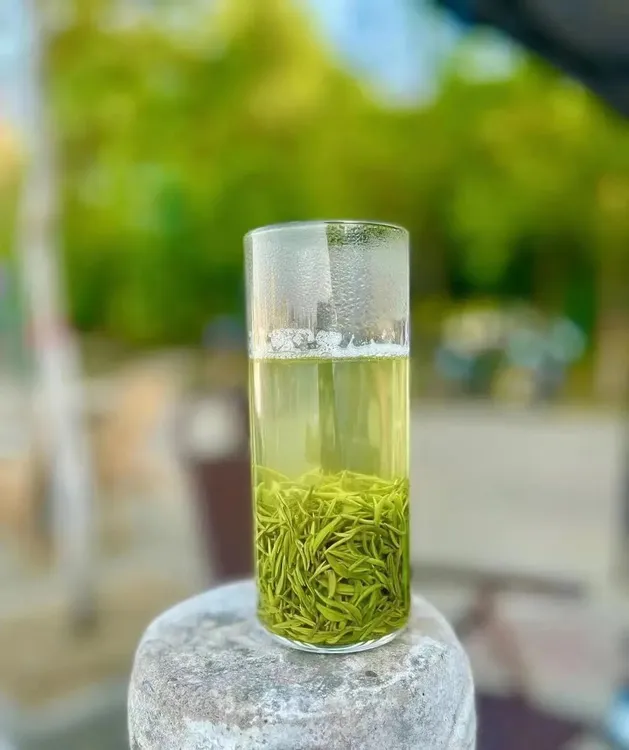 【本店002芽头】正宗信阳毛尖优质明前芽头