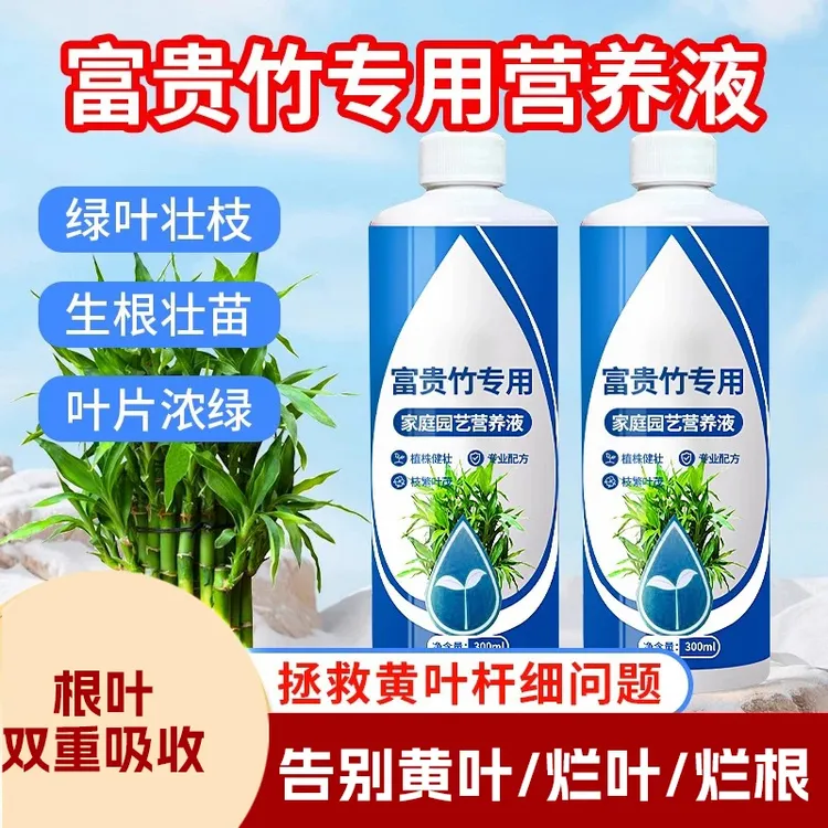 富贵竹专用营养液水培治叶子发黄观音竹转运竹绿植盆栽通用复合肥商品图