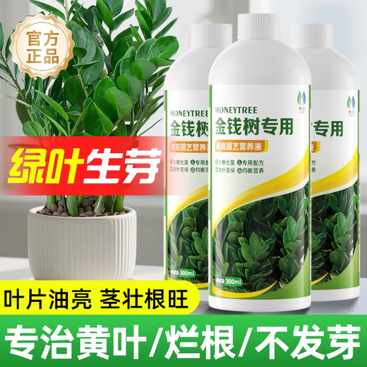 金钱树专用营养液治黄叶促生根幸福树室内植物花卉盆栽通用型肥料商品图
